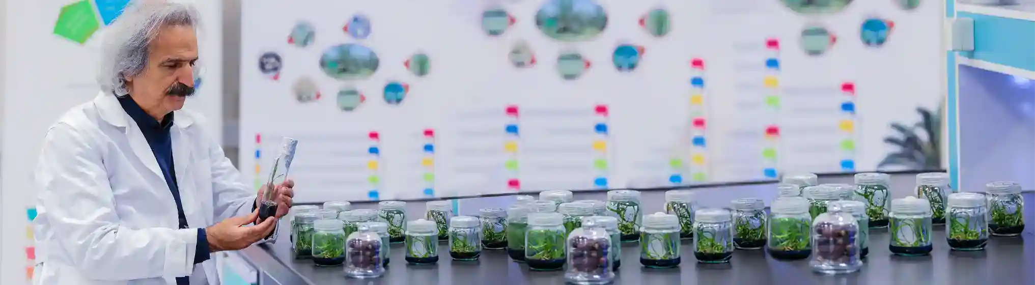 Agricultural Biotechnology Research Institute of Iran-img
