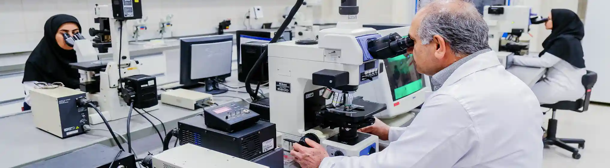 Agricultural Biotechnology Research Institute of Iran-img