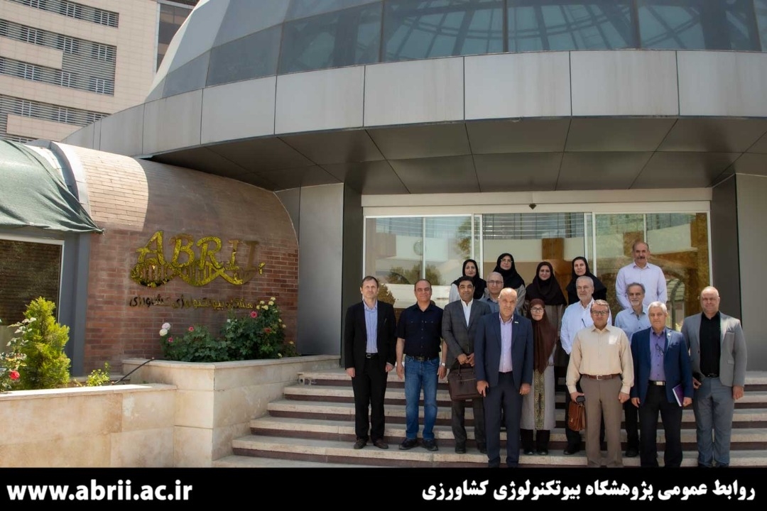 img-12