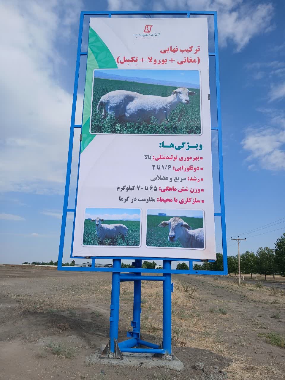 img-6