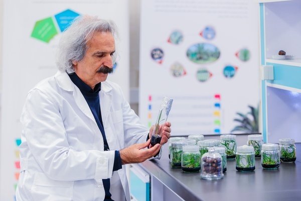 کلان پروژه تکثیر و سالم سازی و تهیه هستههای اولیه-img